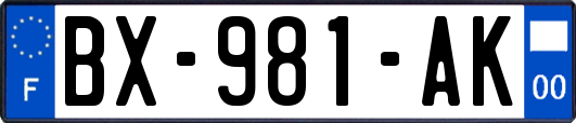 BX-981-AK