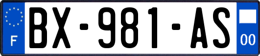 BX-981-AS