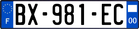 BX-981-EC