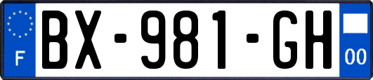 BX-981-GH