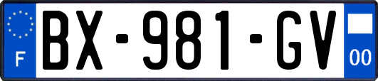 BX-981-GV