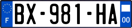 BX-981-HA