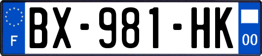 BX-981-HK