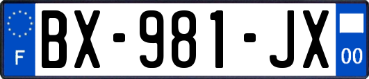 BX-981-JX