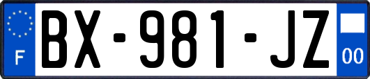 BX-981-JZ