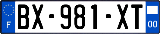 BX-981-XT