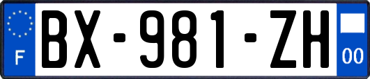 BX-981-ZH