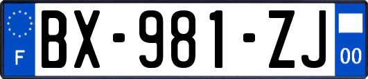 BX-981-ZJ