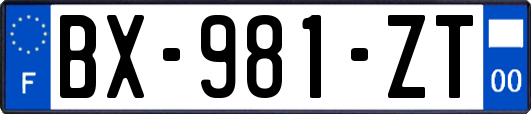 BX-981-ZT