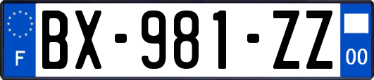 BX-981-ZZ