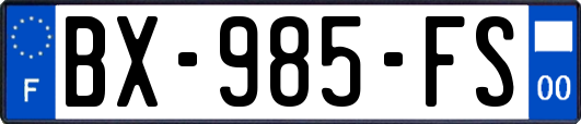 BX-985-FS