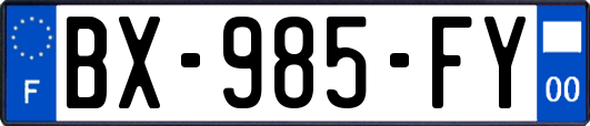 BX-985-FY