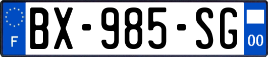 BX-985-SG