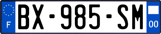 BX-985-SM