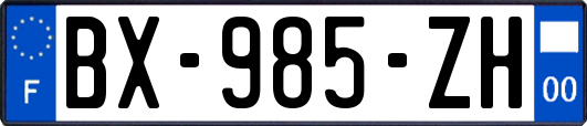 BX-985-ZH