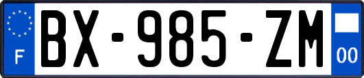 BX-985-ZM