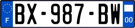 BX-987-BW