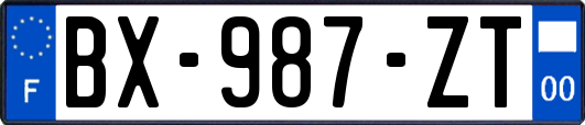 BX-987-ZT