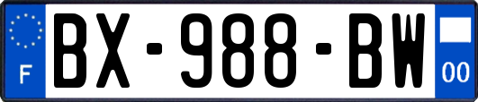 BX-988-BW