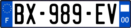 BX-989-EV