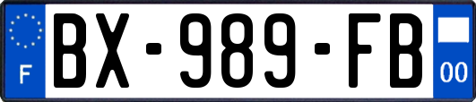 BX-989-FB