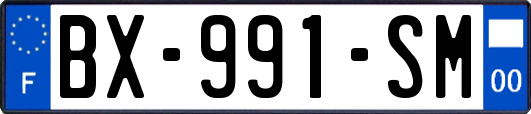 BX-991-SM