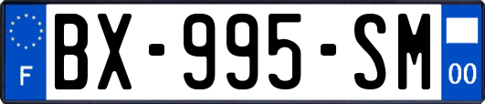 BX-995-SM