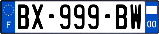 BX-999-BW