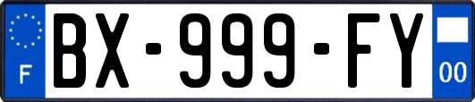 BX-999-FY