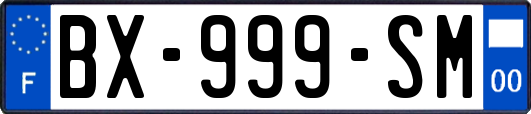 BX-999-SM