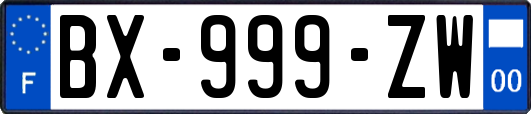 BX-999-ZW