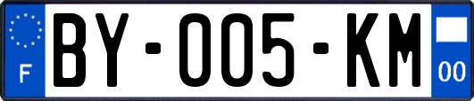 BY-005-KM