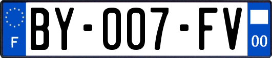 BY-007-FV