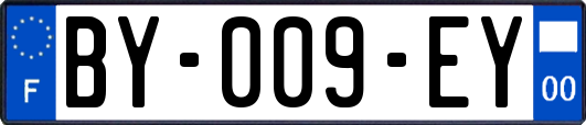 BY-009-EY