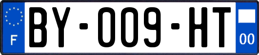 BY-009-HT