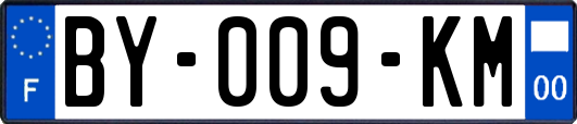 BY-009-KM