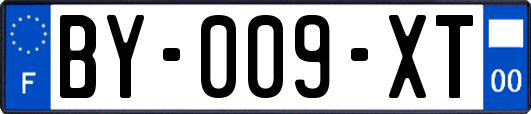 BY-009-XT