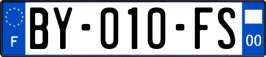 BY-010-FS