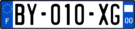 BY-010-XG