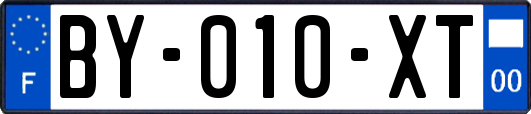 BY-010-XT
