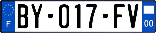 BY-017-FV