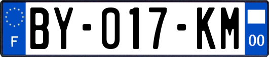 BY-017-KM