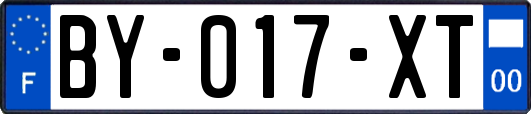 BY-017-XT
