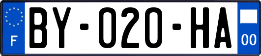 BY-020-HA