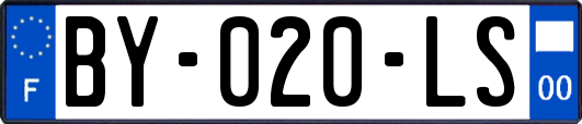 BY-020-LS