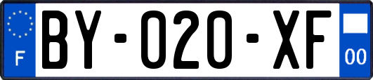 BY-020-XF