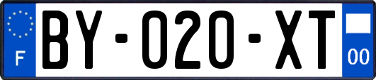 BY-020-XT
