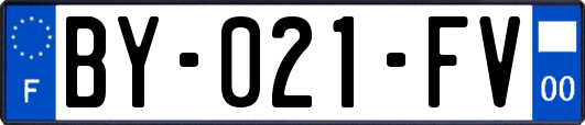 BY-021-FV