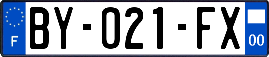BY-021-FX