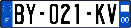 BY-021-KV